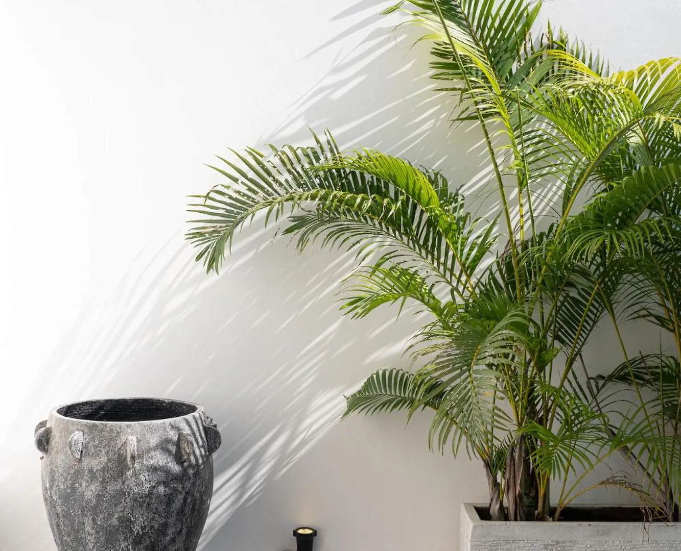 Spacious 1Br Villas In Seminyak Indonesia
